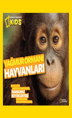 Yağmur Ormanı Hayvanları