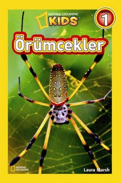 Örümcekler - Seviye 1