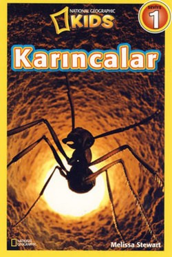 Karıncalar - Seviye 1