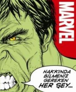 Marvel Hakkında Bimeniz Gereken Her Şey (Ciltli)