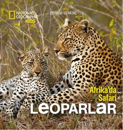 Afrika'da Safari : Leoparlar