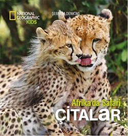 Afrika'da Safari: Çitalar