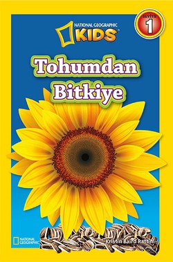 Tohumdan Bitkiye