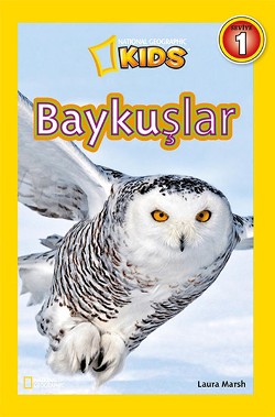 Baykuşlar