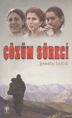 Çözüm Süreci