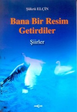 Bana Bir Resim Getirdiler