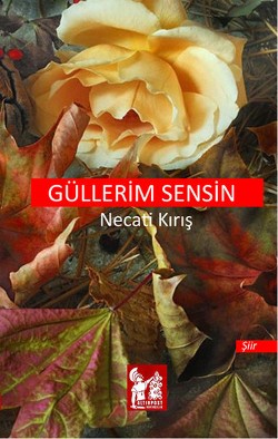 Güllerim Sensin