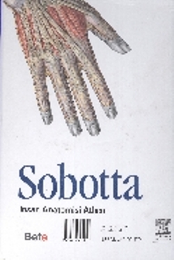 Sobotta İnsan Anatomisi Atlası (3 Cilt Takım)