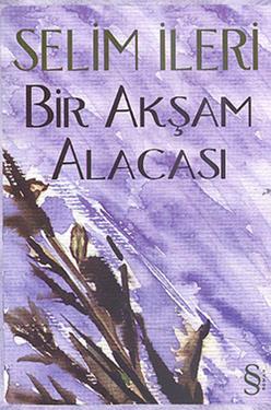 Bir Akşam Alacası