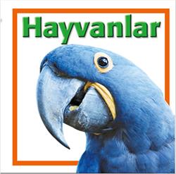 Hayvanlar