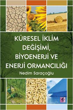 Küresel İklim Değişimi, Biyoenerji ve Enerji Ormancılığı