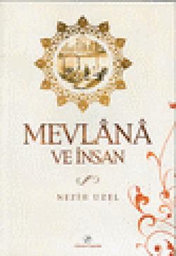 Mevlana ve İnsan