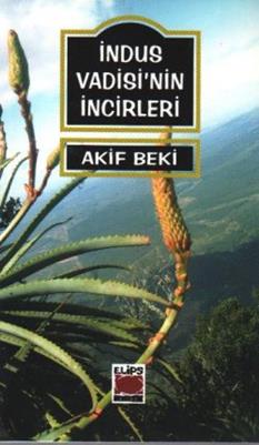 İndus Vadisi’nin İncirleri