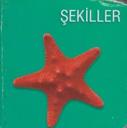 Şekiller