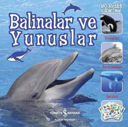 Balinalar ve Yunuslar