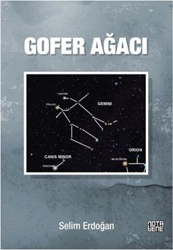 Gofer Ağacı