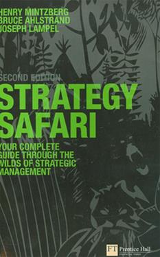 Strategy Safari