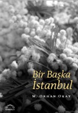 Bir Başka İstanbul