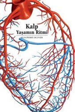 Kalp Yaşamın Ritmi