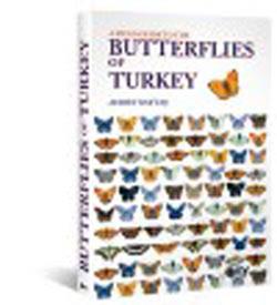 Butterflies of Turkey