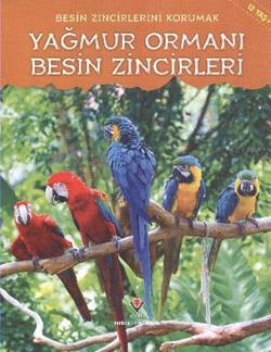 Besin Zincirlerini Korumak - Yağmur Ormanı Besin Zincirleri