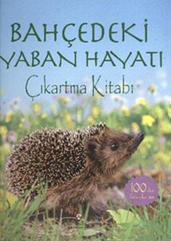 Bahçedeki Yaban Hayatı