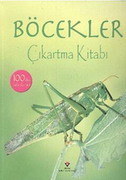 Böcekler