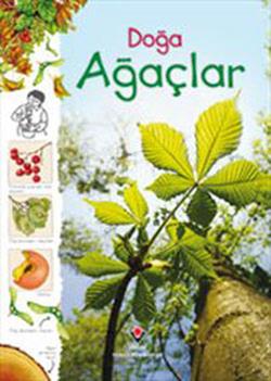 Doğa: Ağaçlar