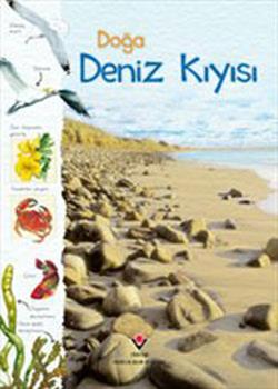 Doğa: Deniz Kıyısı