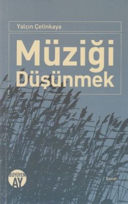 Müziği Düşünmek