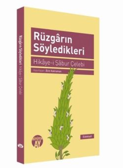 Rüzgarın Söyledikleri