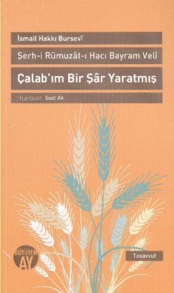 Şerh-i Rümuzat-ı Hacı Bayram Veli  - Çalab’ım Bir Şar Yaratmış