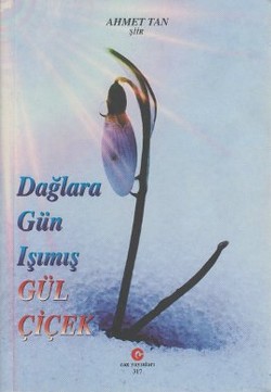 Dağlara Gün Işımış Gül Çiçek