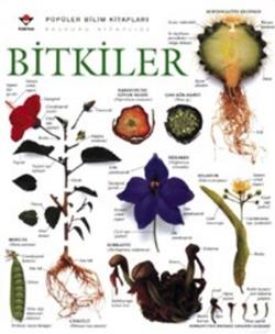 Bitkiler