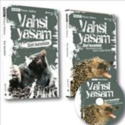 Vahşi Yaşam-Sivri Burunlular