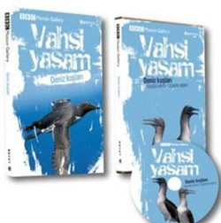 Vahşi Yaşam-Deniz Kuşları