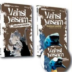 Vahşi Yaşam-Uçamayan Kanatlılar