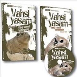 Vahşi Yaşam-Vahşi ve Evcil Kemirgenler