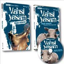 Vahşi Yaşam-Büyük Otoburlar