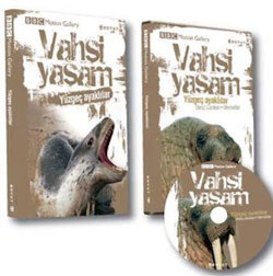 Vahşi Yaşam-Yüzgeç Ayaklılar