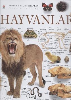 Hayvanlar