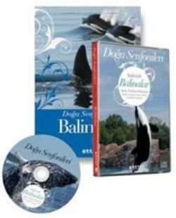 Doğa Senfonileri - Balinalar Senin Seçimin Balinalar