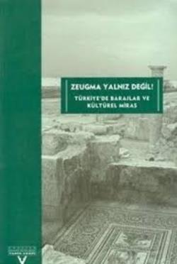 Zeugma Yalnız Değil! Türkiye’de Barajlar ve Kültürel Miras