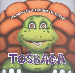 Hayvanlar Aleminin En Yavaşı : Tosbağa