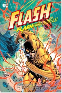 Flash Flashpoint Dünyası