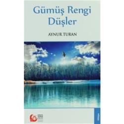 Gümüş Rengi Düşler