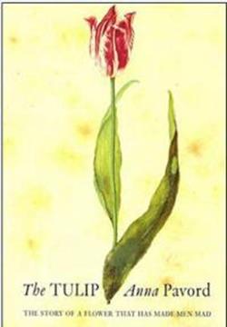 The Tulip