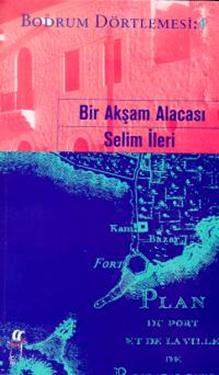 Bir Akşam Alacası