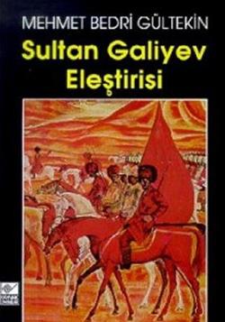 Sultan Galiyev Eleştirisi