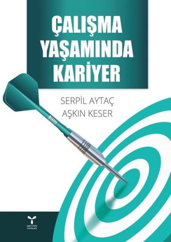 Çalışma Yaşamında Kariyer